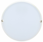 Светильник LED ДПО 2005 12Вт 6500K IP54 круг белый IEK