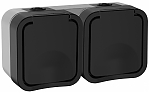 TORS Розетка 2-ая с з/к кр. гориз. 16А IP55 TS122 графит IEK