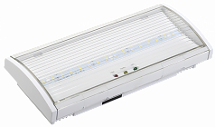 Светильник аварийный ДПА 5040-1, NI-CD, пост.,1ч,IP54, IEK