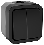 TORS Выключатель двухклавишный 10А IP55 TS105 графит IEK